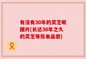 有没有30年的灵芝呢图片(长达30年之久的灵芝等你来品尝)