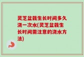 灵芝盆栽生长时间多久浇一次水(灵芝盆栽生长时间需注意的浇水方法)
