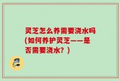 灵芝怎么养需要浇水吗(如何养护灵芝——是否需要浇水？)
