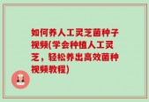 如何养人工灵芝菌种子视频(学会种植人工灵芝，轻松养出高效菌种视频教程)
