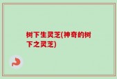 树下生灵芝(神奇的树下之灵芝)