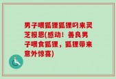 男子喂狐狸狐狸叼来灵芝报恩(感动！善良男子喂食狐狸，狐狸带来意外惊喜)