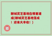 聊城灵芝基地在哪里建成(聊城灵芝基地落成！迎来大丰收！)