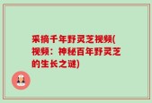 采摘千年野灵芝视频(视频：神秘百年野灵芝的生长之谜)