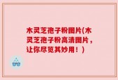 木灵芝孢子粉图片(木灵芝孢子粉高清图片，让你尽览其妙用！)