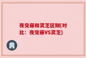 夜交藤和灵芝区别(对比：夜交藤VS灵芝)