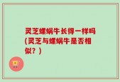 灵芝螺蜗牛长得一样吗(灵芝与螺蜗牛是否相似？)