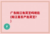 广东阳江有灵芝吗现在(阳江是否产出灵芝？)