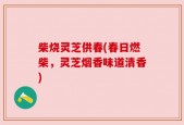 柴烧灵芝供春(春日燃柴，灵芝烟香味道清香)