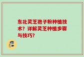 东北灵芝孢子粉种植技术？详解灵芝种植步骤与技巧？