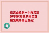 在高山捡到一个肉灵芝好不好(珍贵的肉灵芝被发现于高山深处)