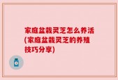 家庭盆栽灵芝怎么养活(家庭盆栽灵芝的养殖技巧分享)