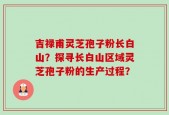 吉禄甫灵芝孢子粉长白山？探寻长白山区域灵芝孢子粉的生产过程？