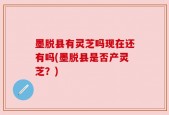 墨脱县有灵芝吗现在还有吗(墨脱县是否产灵芝？)