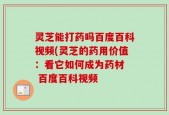 灵芝能打药吗百度百科视频(灵芝的药用价值：看它如何成为药材  百度百科视频