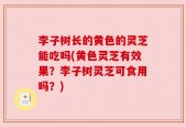 李子树长的黄色的灵芝能吃吗(黄色灵芝有效果？李子树灵芝可食用吗？)