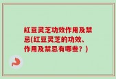 红豆灵芝功效作用及禁忌(红豆灵芝的功效、作用及禁忌有哪些？)