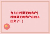 台儿庄种灵芝的农户(种植灵芝的农户在台儿庄火了！)