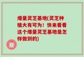 爆量灵芝基地(灵芝种植大有可为！快来看看这个爆量灵芝基地是怎样做到的)