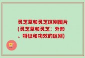 灵芝草和灵芝区别图片(灵芝草和灵芝：外形、特征和功效的区别)