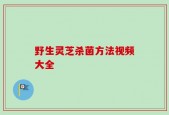 野生灵芝杀菌方法视频大全