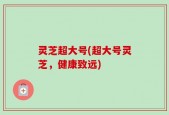 灵芝超大号(超大号灵芝，健康致远)