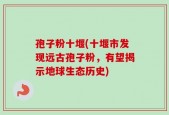 孢子粉十堰(十堰市发现远古孢子粉，有望揭示地球生态历史)