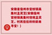 安徽省宿州市官桥镇吴集村孟灵芝(安徽宿州官桥镇吴集村惊现孟灵芝，村民拾捡纷纷前来寻宝！)