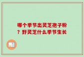 哪个季节出灵芝孢子粉？野灵芝什么季节生长
