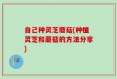自己种灵芝蘑菇(种植灵芝和蘑菇的方法分享)