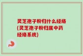 灵芝孢子粉归什么经络(灵芝孢子粉归属中药经络系统)