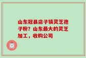 山东冠县店子镇灵芝孢子粉？山东最大的灵芝加工，收购公司