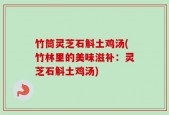 竹筒灵芝石斛土鸡汤(竹林里的美味滋补：灵芝石斛土鸡汤)