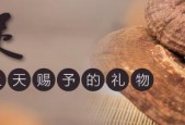 灵芝孢子粉长期吃危险 你还敢乱吃吗