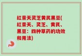 红景天灵芝黄芪黑豆(红景天、灵芝、黄芪、黑豆：四种草药的功效和用法)