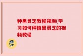 种黑灵芝教程视频(学习如何种植黑灵芝的视频教程