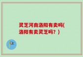灵芝河南洛阳有卖吗(洛阳有卖灵芝吗？)