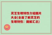 灵芝生理特性介绍图片大全(全面了解灵芝的生理特性：图解汇总)
