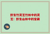 野生竹灵芝竹林中的灵芝：野生山林中的宝藏