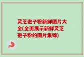 灵芝孢子粉新鲜图片大全(全面展示新鲜灵芝孢子粉的图片集锦)