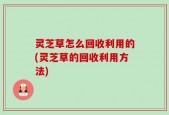 灵芝草怎么回收利用的(灵芝草的回收利用方法)