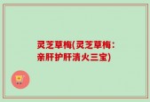灵芝草梅(灵芝草梅：亲肝护肝清火三宝)