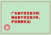 广东普宁灵芝孢子粉(精选普宁灵芝孢子粉，护你健康生活)