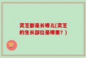 灵芝都是长哪儿(灵芝的生长部位是哪里？)