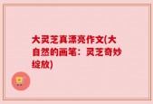 大灵芝真漂亮作文(大自然的画笔：灵芝奇妙绽放)