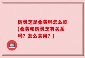 树灵芝是桑黄吗怎么吃(桑黄和树灵芝有关系吗？怎么食用？)