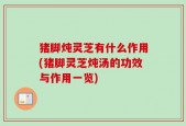 猪脚炖灵芝有什么作用(猪脚灵芝炖汤的功效与作用一览)