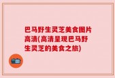 巴马野生灵芝美食图片高清(高清呈现巴马野生灵芝的美食之旅)
