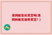 青冈能生长灵芝吗(青冈树能否滋养灵芝？)