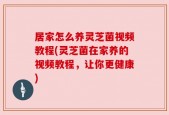 居家怎么养灵芝菌视频教程(灵芝菌在家养的视频教程，让你更健康)